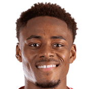 布兰登·博坎古