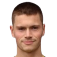 亨里克·法尔切纳