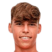 米克尔·萨拉斯